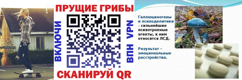 маркетплейс телеграм  где можно купить наркотик  Рассказово  Псилоцибиновые грибы прущие грибы 